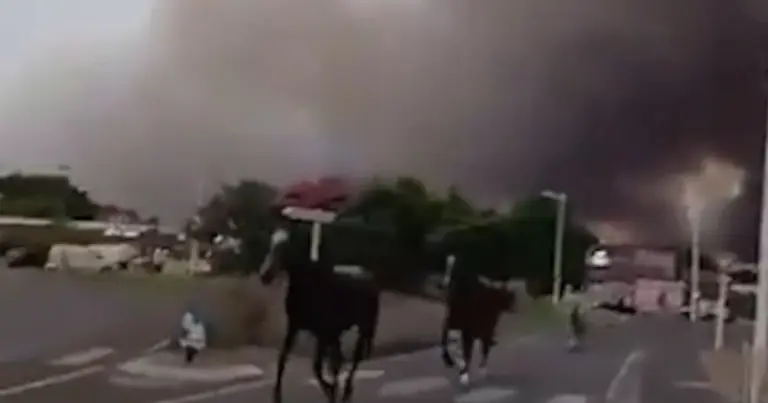 Wildfires in France force over 10,000 to evacuate