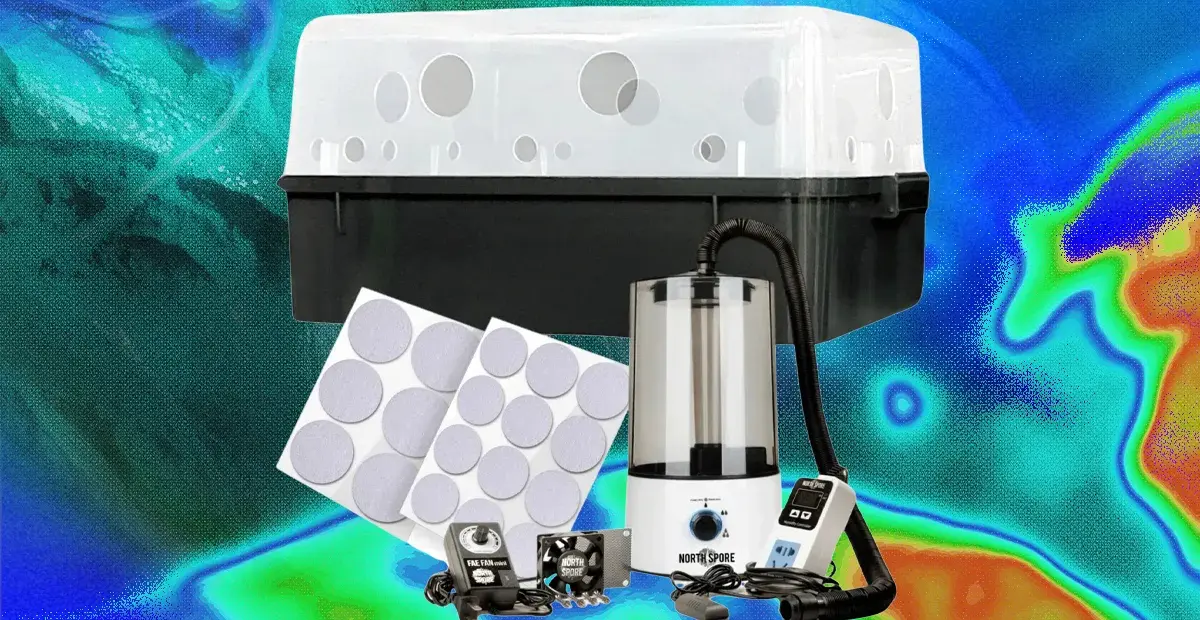 Wired Guide Details Five Methods for Growing Mushrooms at Home